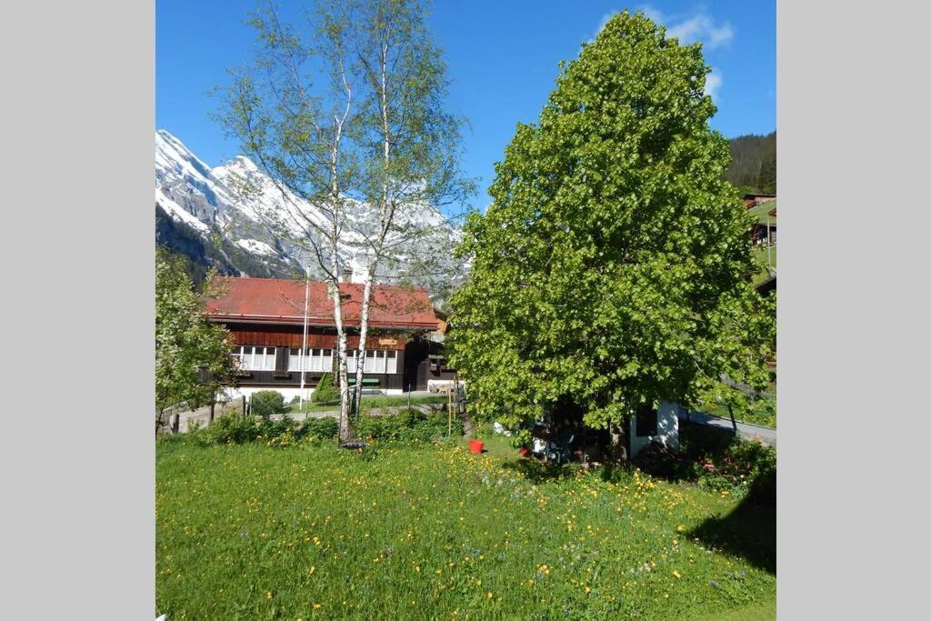 Olle And Maria's B&b- Apartmán Gimmelwald